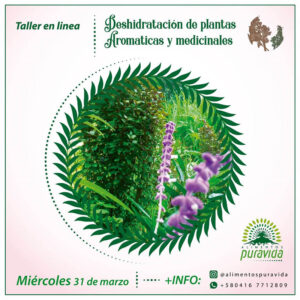 Taller: Deshidratación de plantas aromáticas y medicinales.
